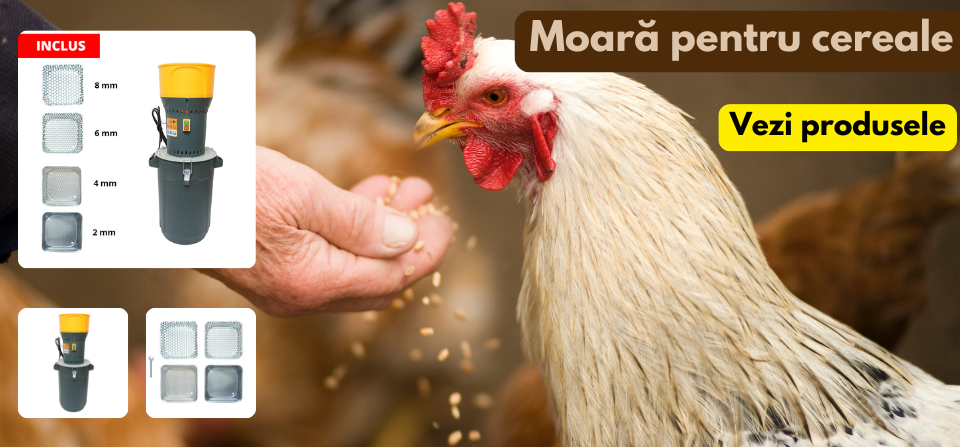 Moara pentru cereale